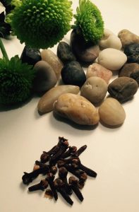 Tachos e Porcelanas - o Cravinho